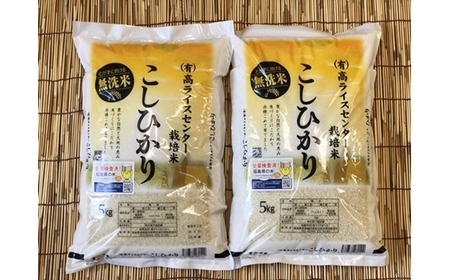 無洗米 令和7年産 コシヒカリ 10キロ(5kg×2袋)｜高ライスセンター