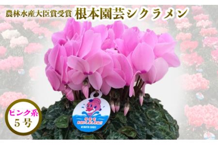 先行予約 根本園芸 シクラメン 5号 鉢花 鉢植え ピンク系 ガーデンシクラメン 花 ギフト 農林水産大臣賞受賞 福島県南相馬市 ふるさと納税サイト ふるなび