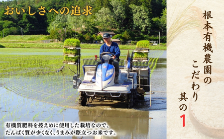 JAS有機米コシヒカリ 白米10kg 令和7年産 根本有機農園