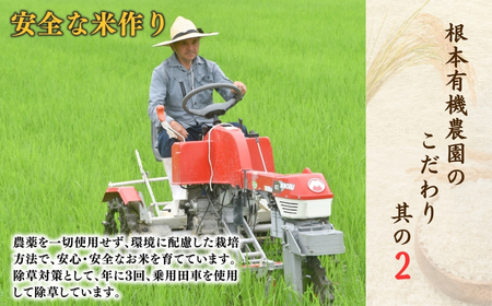 JAS有機米コシヒカリ 白米10kg 令和7年産 根本有機農園