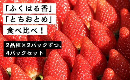 ２月発送開始・数量限定】伊賀いちご園のレギュラーパック4P（280g