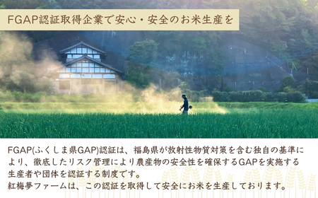 天のつぶ 新世代 白米 5kg | 令和7年産米 紅梅夢ファーム