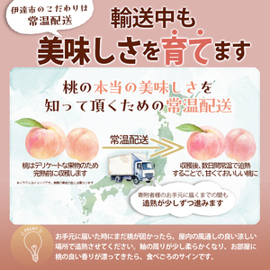 福島の桃 川中島特秀 約3kg（9～11玉）透過式光センサー選別 伊達市産桃 先行予約 フルーツ 果物 もも モモ momo F20C-778