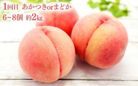 桃とシャインマスカットの定期便（ミニ） 福島の桃 果物 先行予約 フルーツ 桃 モモ もも 葡萄 ブドウ ぶどう 福島県 伊達市 もも モモ momo F20C-784