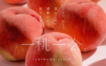 桃とシャインマスカットの定期便（ミニ） 福島の桃 果物 先行予約 フルーツ 桃 モモ もも 葡萄 ブドウ ぶどう 福島県 伊達市 もも モモ momo F20C-784
