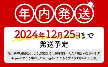 ＼年内発送／ こだわりの冬のシャインマスカット 約2kg 3~4房 シャインマスカット 葡萄 ぶどう ブドウ F20C-799