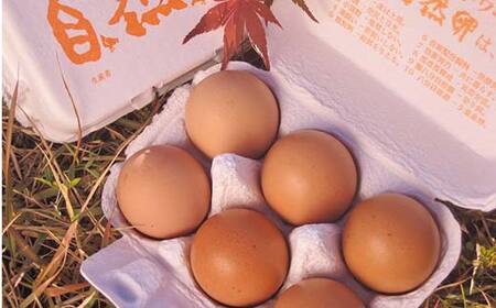 平飼い卵 とれたて発送「御幸卵」の生卵と燻製たまごセット（生卵24玉、燻製たまご20玉入り） 伊達市 福島県 国産 養鶏場直送 卵 たまご 玉子 生卵 鶏卵 燻製たまご F20C-759