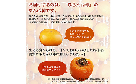 厳選 個包装 あんぽ柿(ひらたね)450g F20C-825