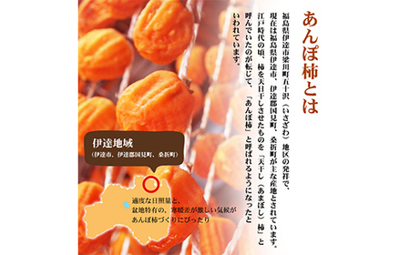 厳選 個包装 あんぽ柿(詰合せ)450g F20C-827