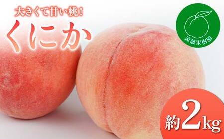 【2026年出荷分先行予約】福島県産 くにか 約2kg (5～9玉) 遠藤果樹園 贈り物 贈答 ギフト 伊達の桃 桃 フルーツ 果物 もも モモ momo F20C-830