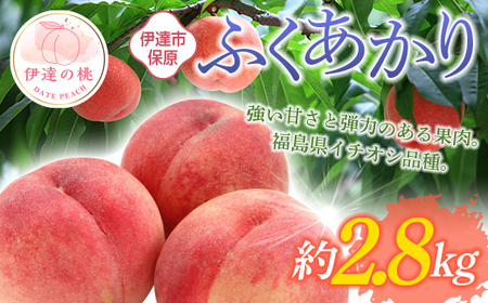 【2026年出荷分先行予約】福島県産 ふくあかり 約2.8kg (10~15玉) あかい果樹園 伊達の桃 桃 フルーツ 果物 もも モモ momo F20C-900