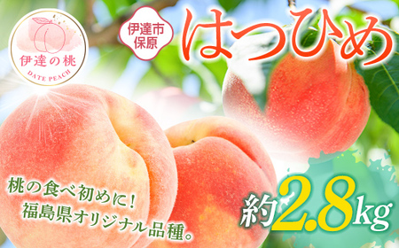 【2026年出荷分先行予約】福島県産 はつひめ 約2.8kg (10～15玉) あかい果樹園 伊達の桃 桃 フルーツ 果物 もも モモ momo F20C-902