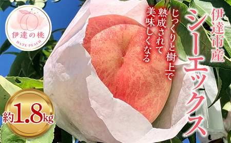 【2026年出荷分先行予約】福島県産 シーエックス 約1.8kg (4～6玉) あかい果樹園 大玉 固め 伊達の桃 桃 フルーツ 果物 もも モモ momo F20C-907