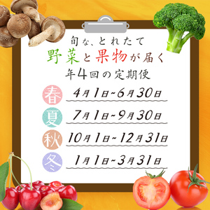 季節の定期便4回 伊達なお野菜とフルーツの詰め合わせ F20C-491
