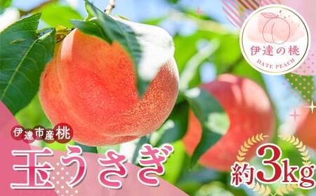 【2026年出荷分先行予約】福島県産 玉うさぎ 約3kg (6～12玉) サトー農園 新品種 たまうさぎ 固め 伊達の桃 桃 フルーツ 果物 もも モモ momo F20C-835