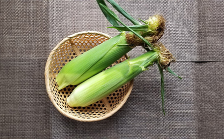 極上の甘さ！ とうもろこし 「おおもの」 10本（約3.5kg） F20C-933