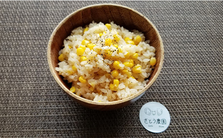 極上の甘さ！ とうもろこし 「おおもの」 10本（約3.5kg） F20C-933