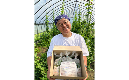 ツルムラサキの仲間のネバネバ野菜！ミネラル豊富なゲンキナ（R）（オカワカメ） 1kg F20C-948