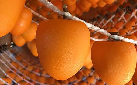 【贈答用】自然栽培あんぽ柿 紙箱 500g（5～7 個入り） F20C-970