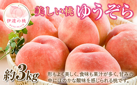 【2026年出荷分先行予約】福島県産 ゆうぞら 約3kg (約10玉) 一般社団法人つきだて振興公社 小さめ 固め 伊達の桃 桃 フルーツ 果物 もも モモ momo F20C-642