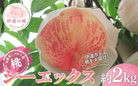 【2026年出荷分先行予約】福島県産 シーエックス 約2kg (5～6玉) 大橋ふぁーむ 大玉 固め 伊達の桃 桃 フルーツ 果物 もも モモ momo F20C-782