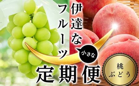 ＜2026年夏から開始の定期便＞伊達な小さなフル－ツ定期便 (桃約1kg・ぶどう1房) 果物 フルーツ 桃 モモ 葡萄 ブドウ 福島県 伊達市 F21C-016