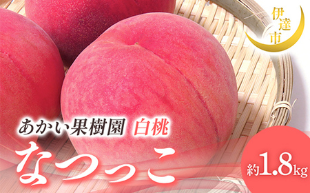 【2026年出荷分先行予約】福島県産 なつっこ 約1.8kg (6～10玉) あかい果樹園 贈り物 贈答 ギフト 伊達の桃 桃 フルーツ 果物 もも モモ momo F21C-004