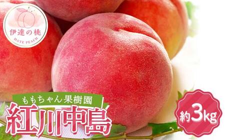 【2026年出荷分先行予約】福島県産 紅川中島 約3kg (7～9玉) ももちゃん果樹園 自慢の桃 伊達の桃 桃 フルーツ 果物 もも モモ momo F21C-044
