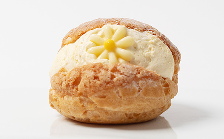 ふくしまスイーツプレミアム りんごのシューアイス 6個入り アイス デザート スイーツ 菓子 食品 F21C-111