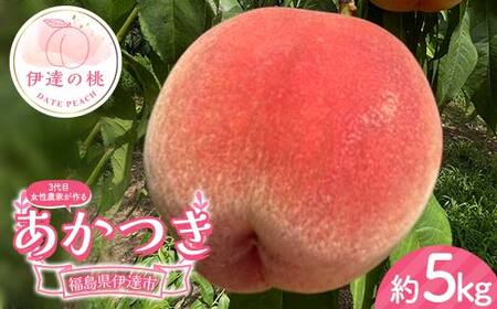 【2026年出荷分先行予約】福島県産 あかつき 約5kg (18～22玉) 小野農園 3代目の女性の農家が作る桃 伊達の桃 桃 フルーツ 果物 もも モモ momo F21C-129