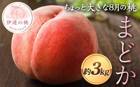 【2026年出荷分先行予約】福島県産 まどか (曙紅) 約3kg (7～10玉) 佐藤俊博 ちょっと大きな8月の桃 伊達の桃 桃 フルーツ 果物 もも モモ momo F21C-120