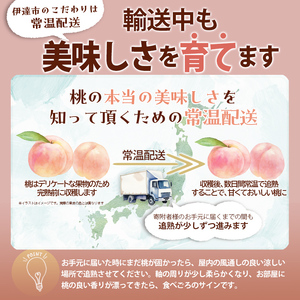 【2026年出荷分先行予約】福島県産 まどか 約3kg (8～12玉) KING OF PEACHESS キングオブピーチ 伊達の桃 桃 フルーツ 果物 もも モモ momo F21C-138