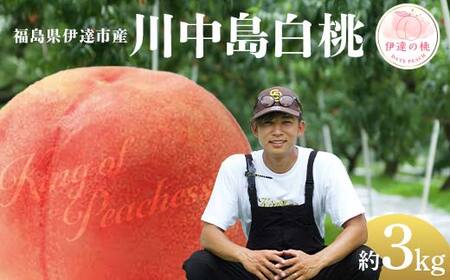 【2026年出荷分先行予約】福島県産 川中島白桃 約3kg (8～12玉) KING OF PEACHESS キングオブピーチ 伊達の桃 桃 フルーツ 果物 もも モモ momo F21C-146