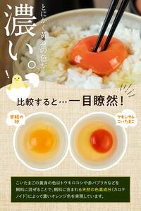 【TVで話題沸騰!】6か月定期便!とにかく黄身が濃いたまご「マキシマムこいたまご」60個入り 伊達市 福島県 国産 MS~LLサイズ 卵 たまご 玉子 生卵 鶏卵 F21C-197