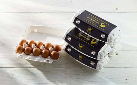 【TVで話題沸騰!】6か月定期便!とにかく黄身が濃いたまご「マキシマムこいたまご」60個入り 伊達市 福島県 国産 MS~LLサイズ 卵 たまご 玉子 生卵 鶏卵 F21C-197