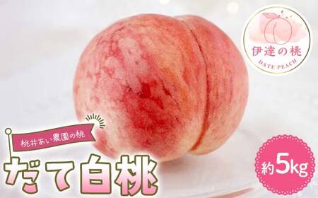 【2026年出荷分先行予約】福島県産 だて白桃 約5kg (12～18玉) 桃井あい農園 伊達の桃 桃 フルーツ 果物 もも モモ momo F21C-213