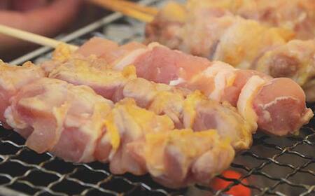 福島ブランド鶏 伊達鶏 むね＆もも串 4本セット おつまみ グルメ チキン BBQ キャンプ バーベキューだてどり 高タンパク F21C-174