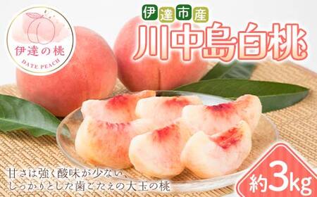 【2026年出荷分先行予約】福島県 伊達市産 川中島白桃 約3kg (6～10玉) 種まきうさぎ株式会社 伊達の桃 桃 フルーツ 果物 もも モモ momo  F21C-297 7,020円