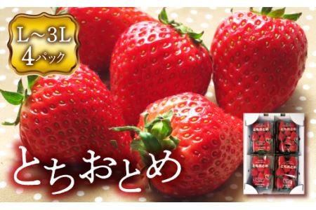 ＜先行予約＞福島県 伊達市産 いちご  （とちおとめ3L～Lサイズ）4パック F20C-133