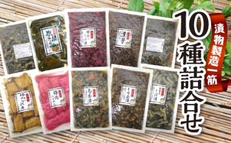 《たっぷり徳用！》【オール国産原料】漬物食べ比べセット（全10種類入り） F20C-161