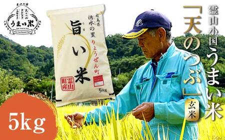 JGAP認証 新米 令和7年産米 霊山小国うまい米 天のつぶ 5kg 玄米 F20C-261