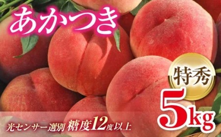 福島の桃  福島県伊達市産 桃 あかつき 特秀 約5kg 先行予約 フルーツ 果物 もも モモ momo F20C-125