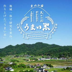 福島県伊達市産 ＜定期便＞霊山小国うまい米 天のつぶ精米5kg×12回連続 F20C-998