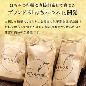 伊達市産 はちみつ米 5kg F21C-162