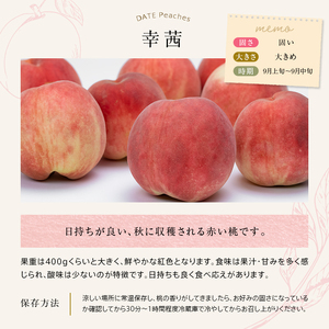 福島の桃 さちあかね 特秀 約3kg （9～11玉）  伊達市産 桃 先行予約 フルーツ 果物 もも モモ momo F20C-352