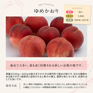 ゆめかおり 2kg 福島県伊達市産 桃 フルーツ 果物  F20C-372