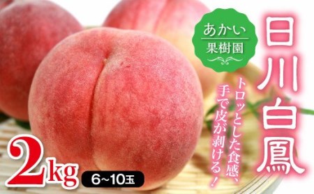 日川白鳳 2kg  福島県伊達市産 桃 フルーツ 果物  F20C-447