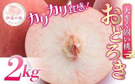 福島県産 おどろき 約2kg 2025年8月上旬～2025年8月中旬発送 2025年出荷分 先行予約 予約 固め 固い 伊達の桃 桃 もも モモ 果物 くだもの フルーツ 国産 食品  F20C-496