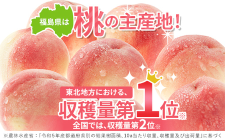 福島の桃 おどろき 2kg（5～7玉）固い桃 伊達市産桃 先行予約 フルーツ 果物 もも モモ momo F20C-496