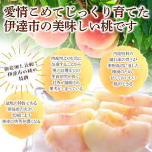 福島の桃 おどろき 2kg（5～7玉）固い桃 伊達市産桃 先行予約 フルーツ 果物 もも モモ momo F20C-496